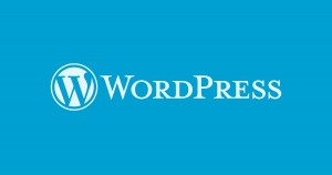 wordpress yazıların okunma sayısı