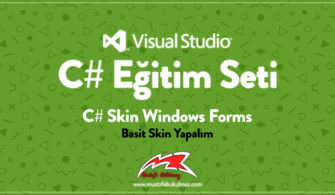 C# Skin Windows Forms - Basit Skin Yapalım