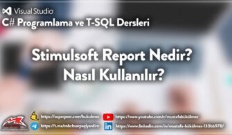 Stimulsoft Report Nedir? Nasıl Kullanılır?