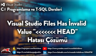 Visual Studio Files Has İnvalid Value HEAD