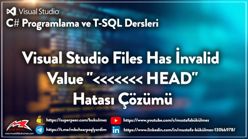 Visual Studio Files Has İnvalid Value 