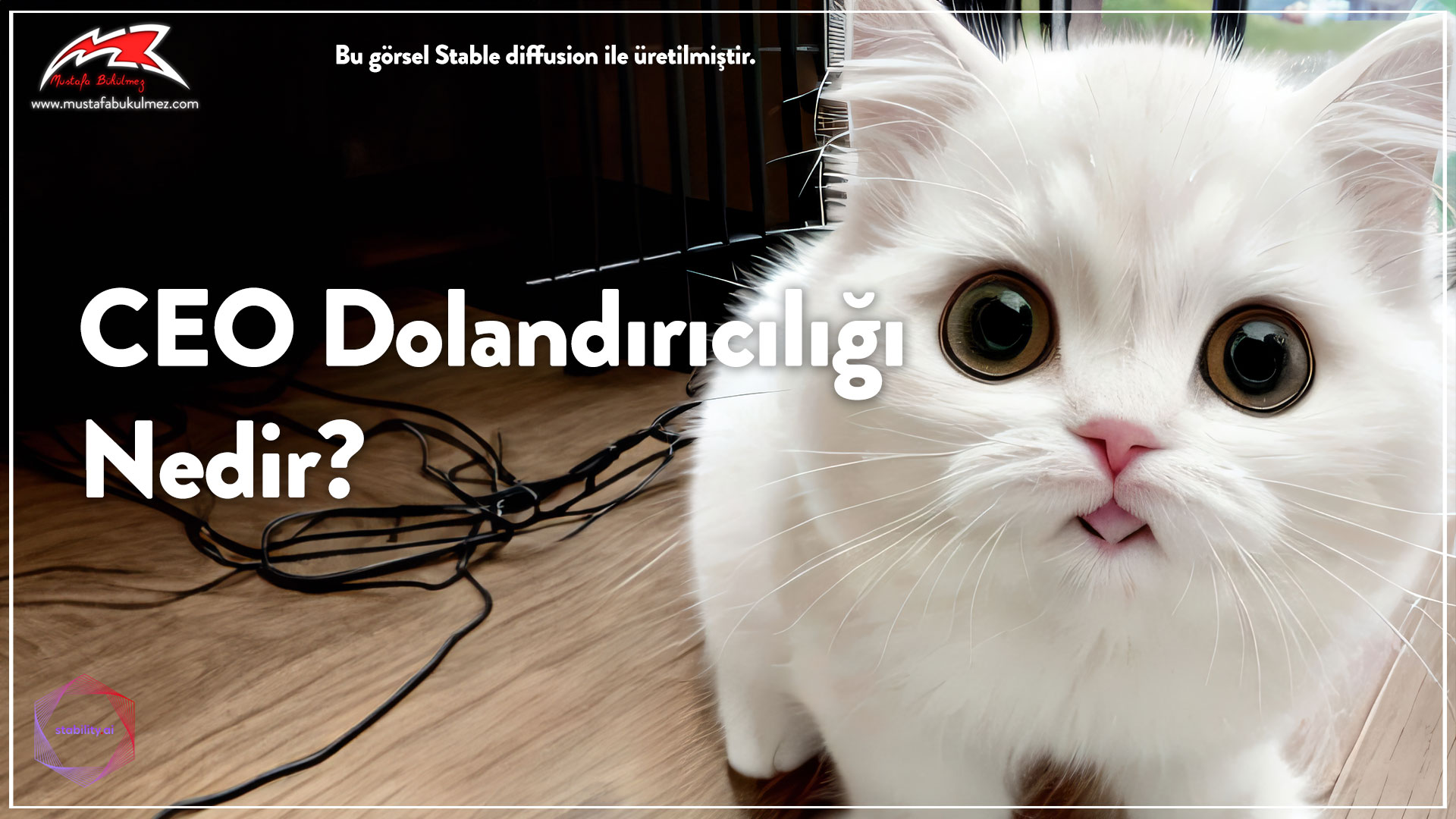 CEO-Dolandırıcılığı-nedie